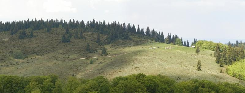 Panorama 6.JPG